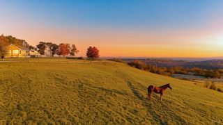 #horse #field #drone #cowboyup #cowgirl