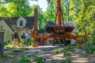 @finalcutmd tree removal!
